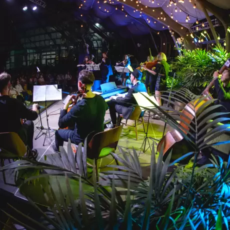 Финал фестиваля барокко и концерты в тропиках: афиша до 17 августа